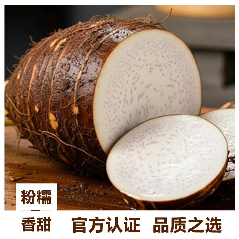 【现挖现发】正宗荔浦芋头产地直发广西大芋头特产新鲜农产品香芋