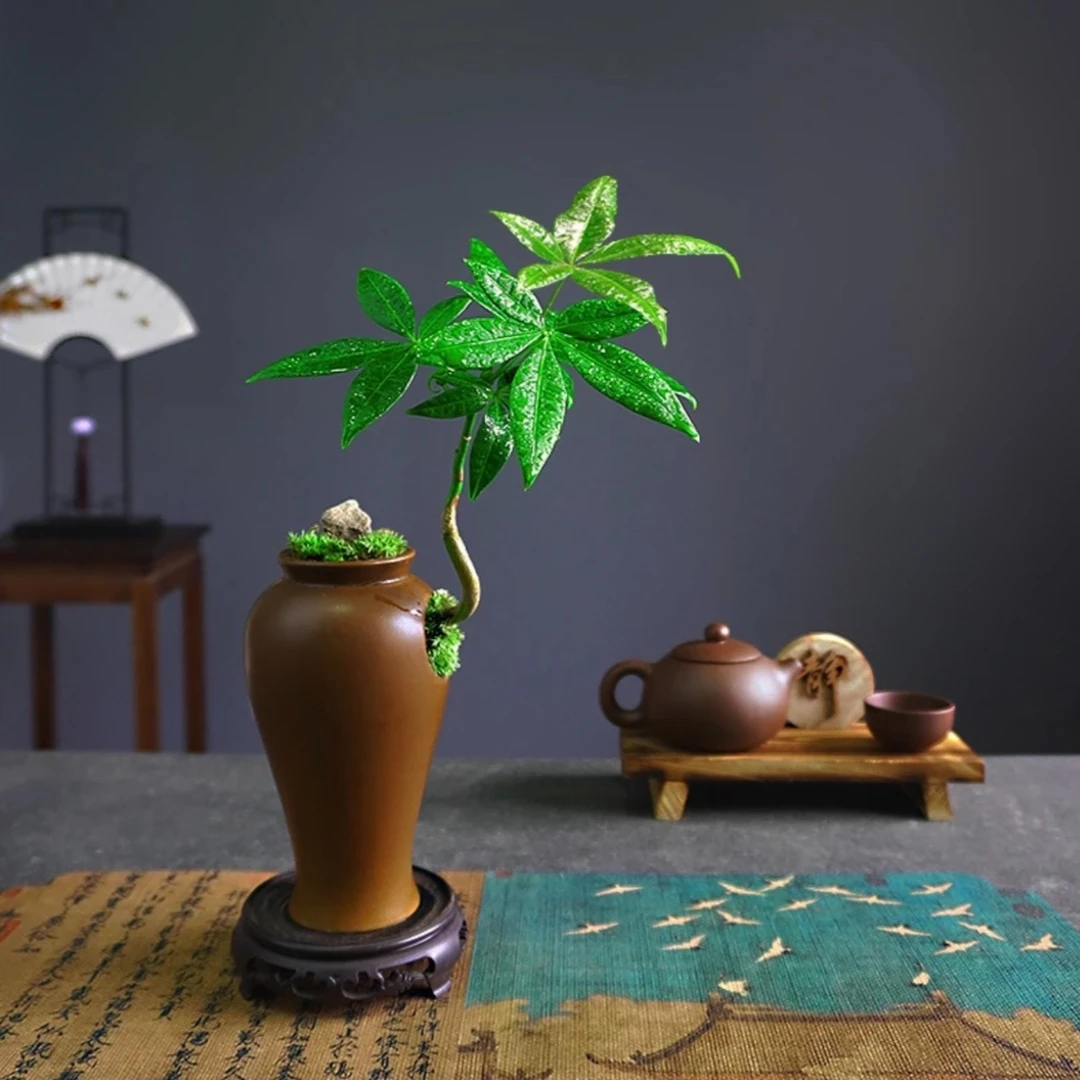 发财树盆栽室内造型盆景办公室桌面植物客厅茶几耐阴好养招财绿植