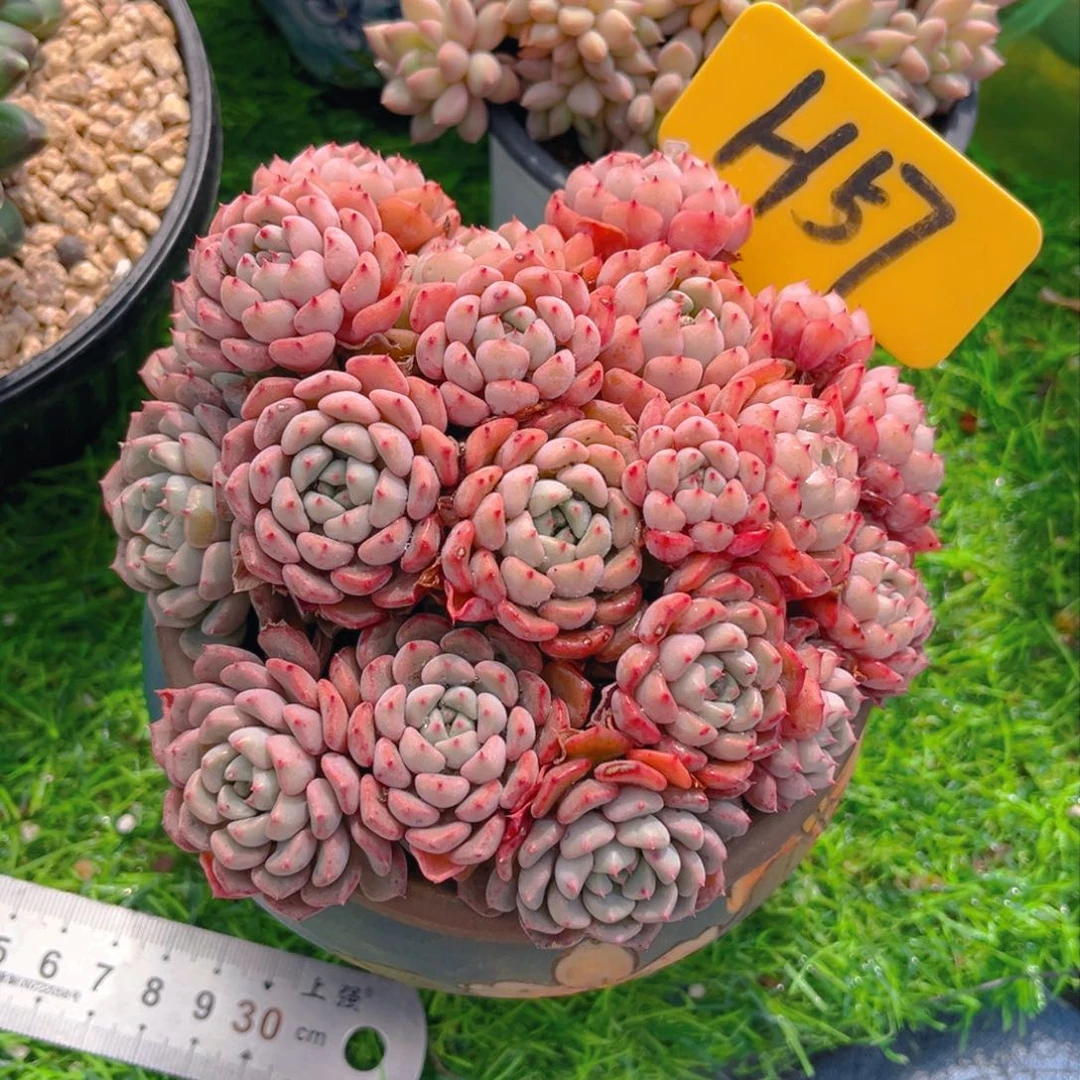 ?****?57fghjjjjkkkkkkjj