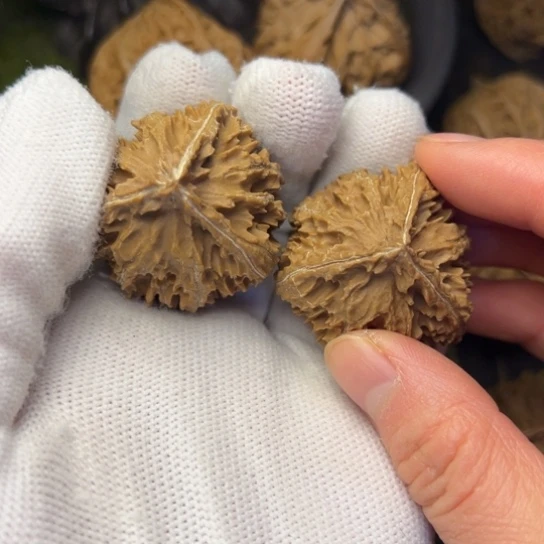 風***文玩核桃把件秦岭核桃15