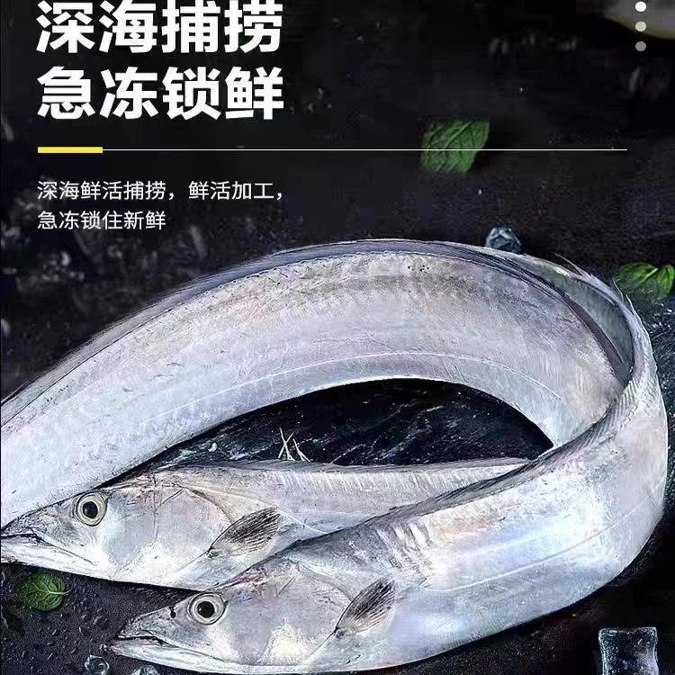 顺丰包邮 新鲜速冻海钓带鱼 5斤 到手11-14条