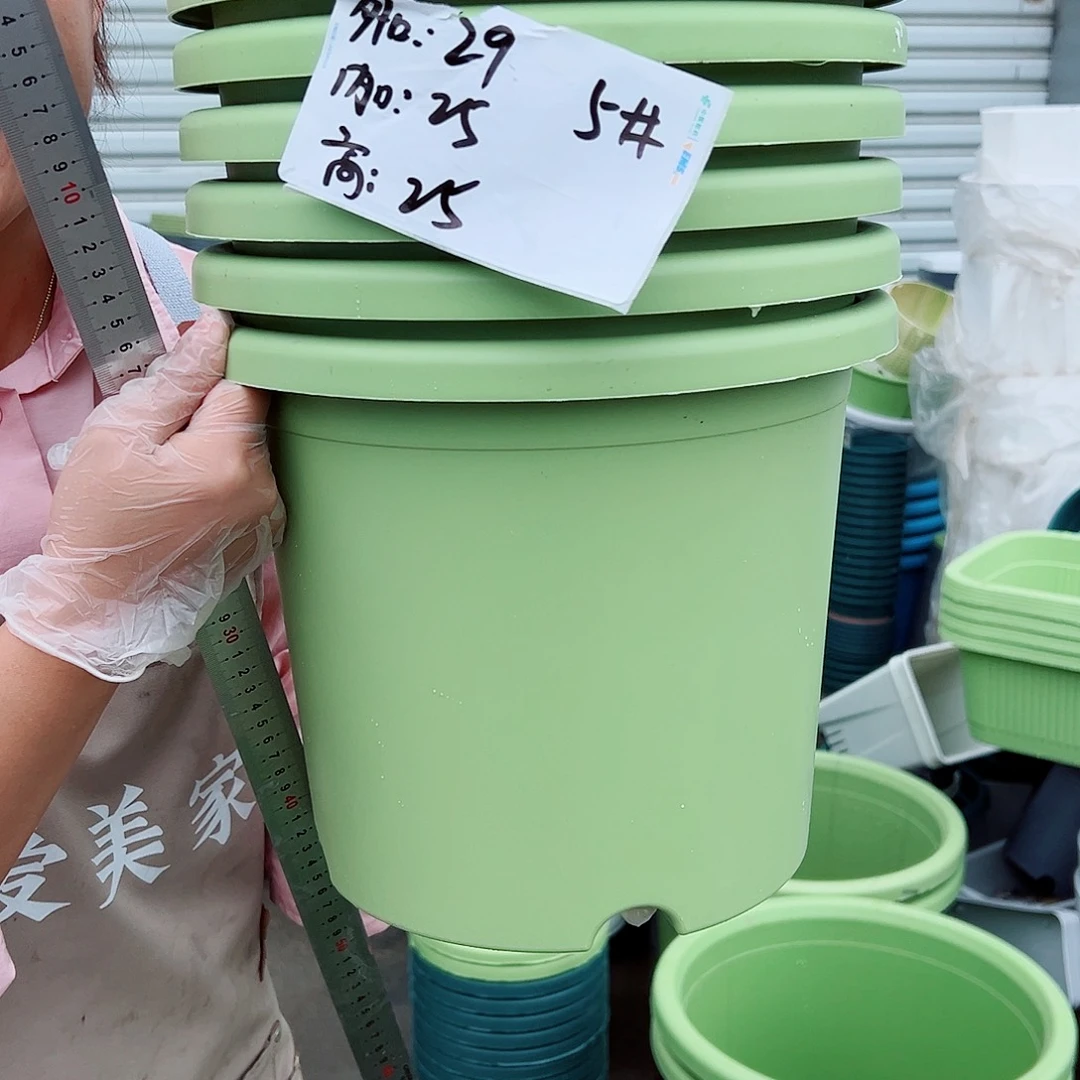 四季盆5#果绿色6个无托