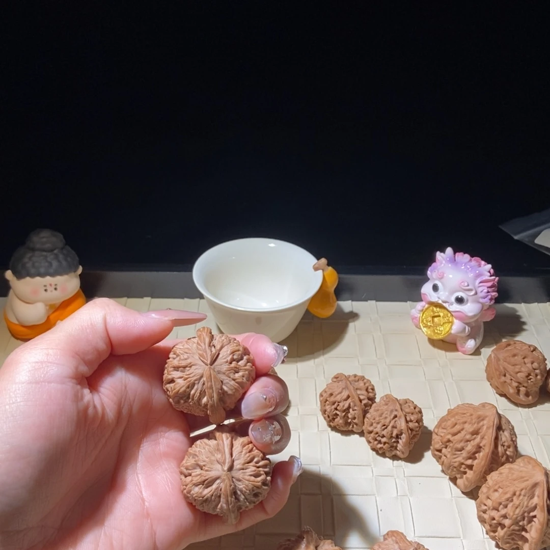 菩提籽类白狮子35