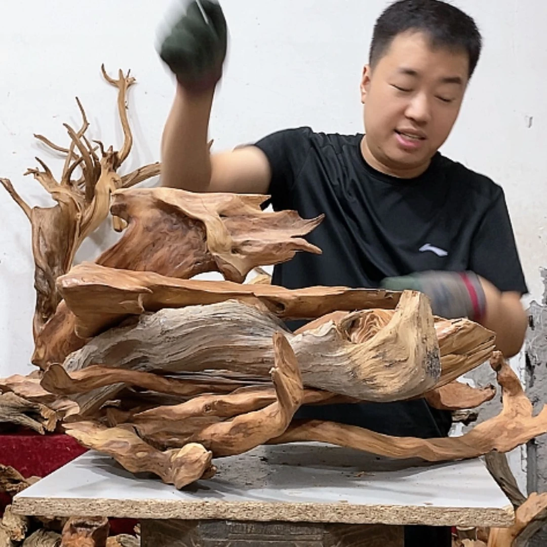 【闪购商品】柏木小*我们都是好孩子