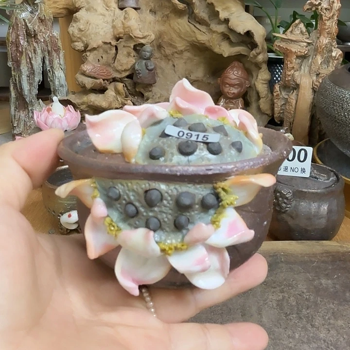 茶壶粗砂柴烧福利新品多多