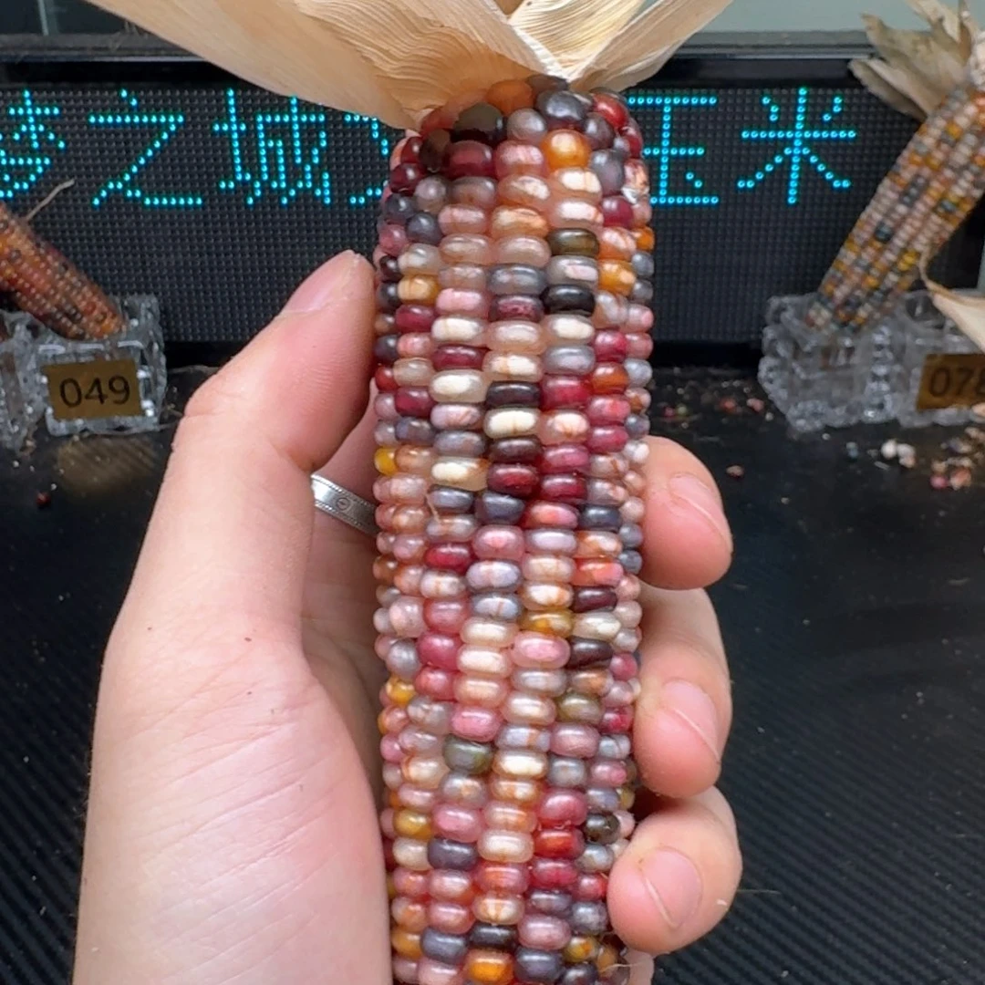 柏香籽/百香籽吊坠米*