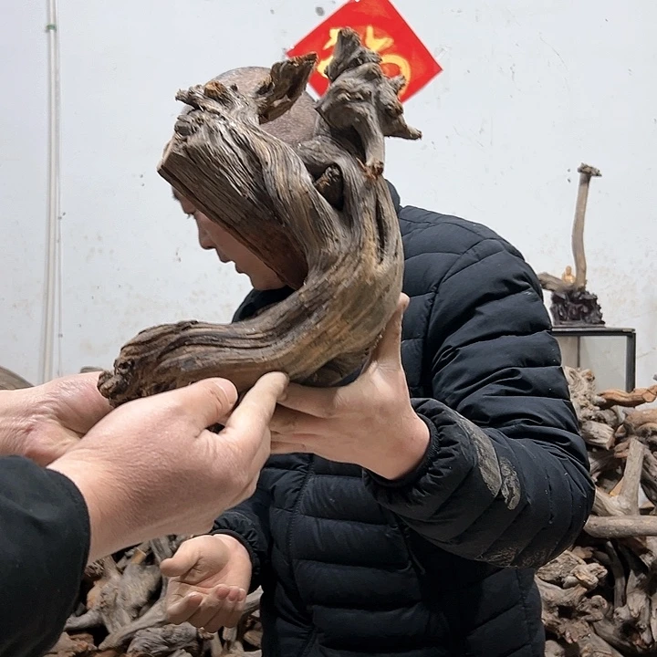 柏木大*我们的生活是以自己