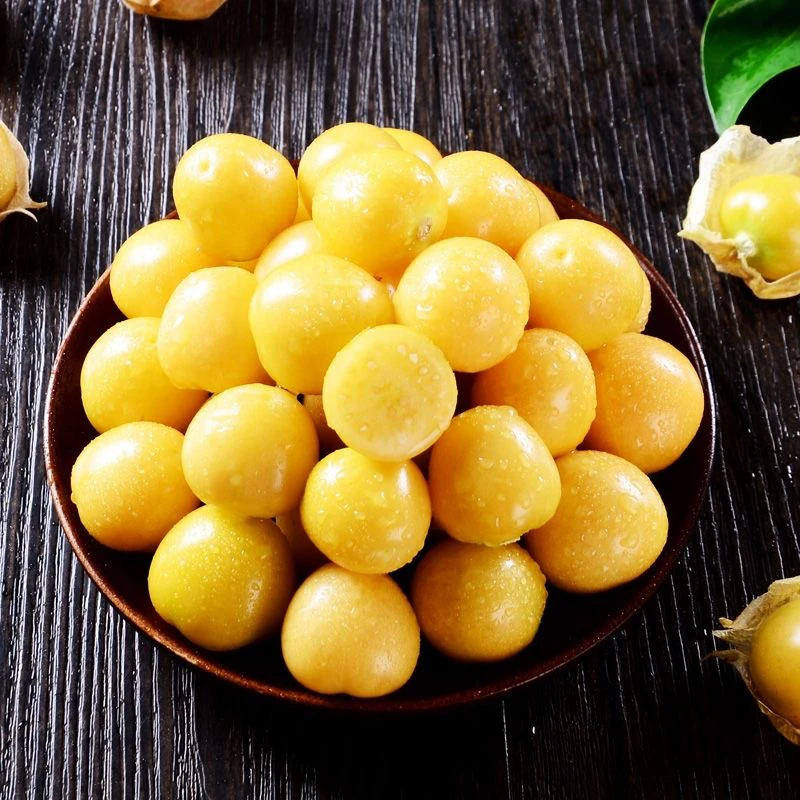 【产地直发】姑娘果灯笼果菇娘果黄姑娘现摘现发新鲜水果当季