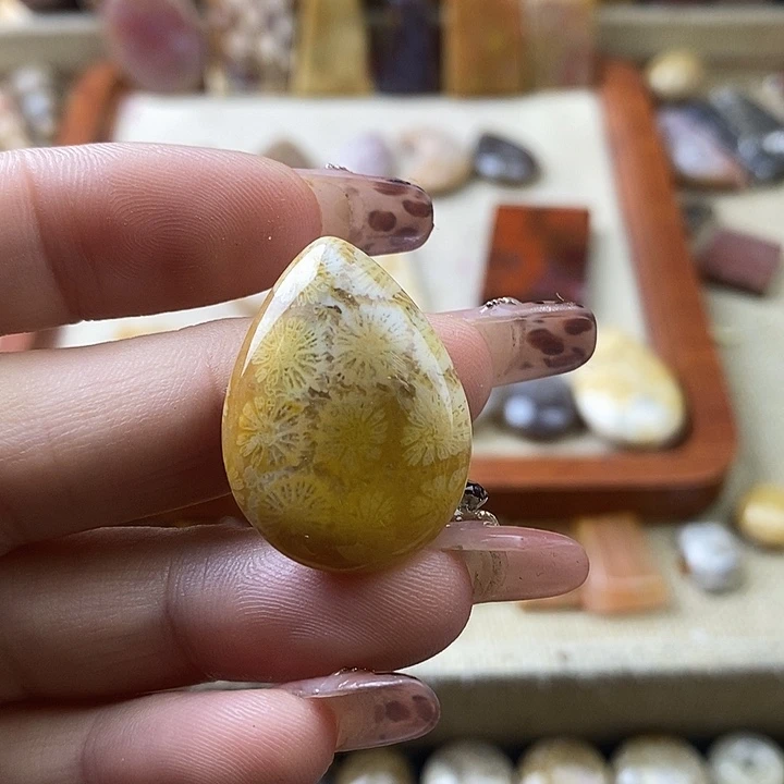 硅化珊瑚（珊瑚玉）未镶嵌颈饰