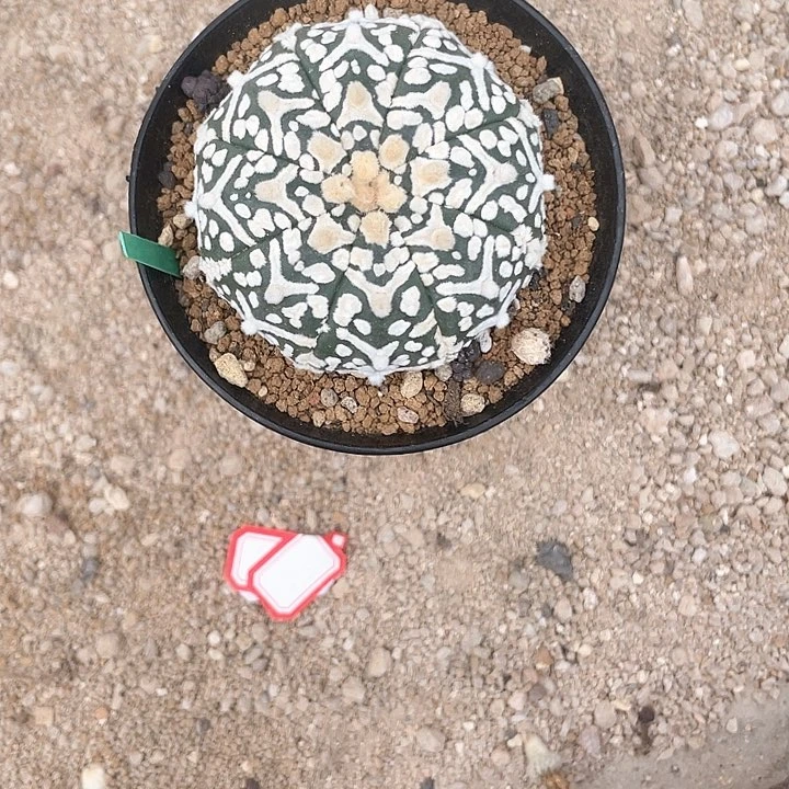 完全开放焕****…特价10 v兜