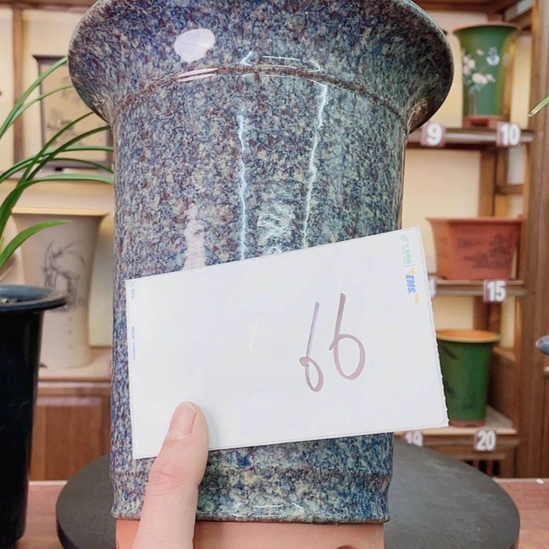 【闪购商品】紫砂花盆念**忘兰花856885556988555556