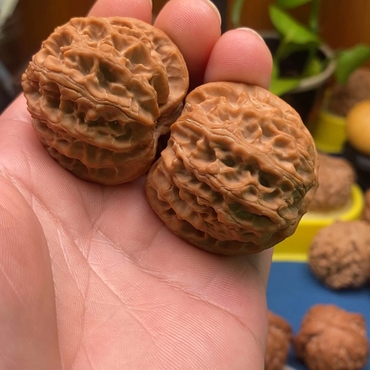 核桃手串/手链39尺苹果园小修