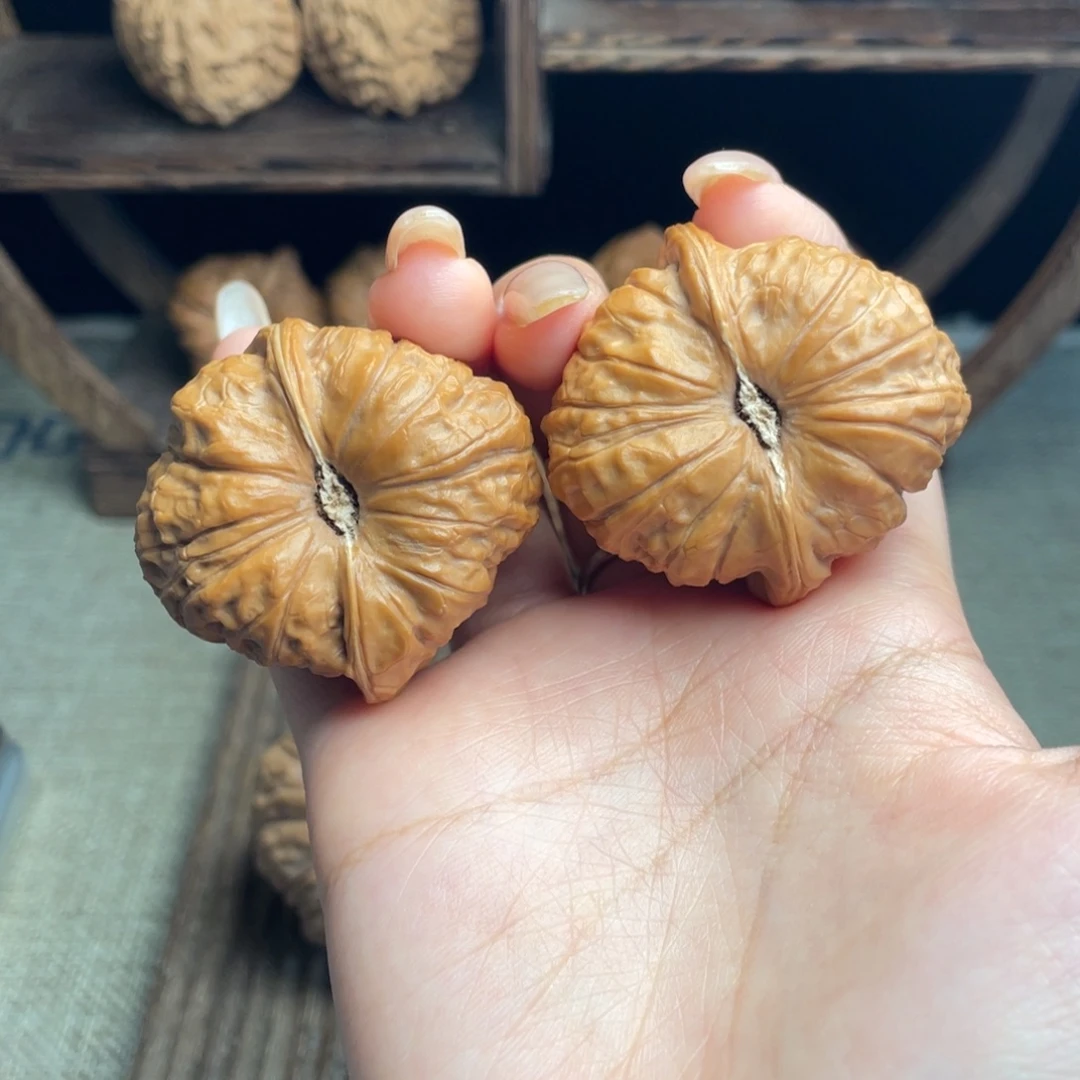 木质南瓜42 全品打底精配毕业红皮克重打手