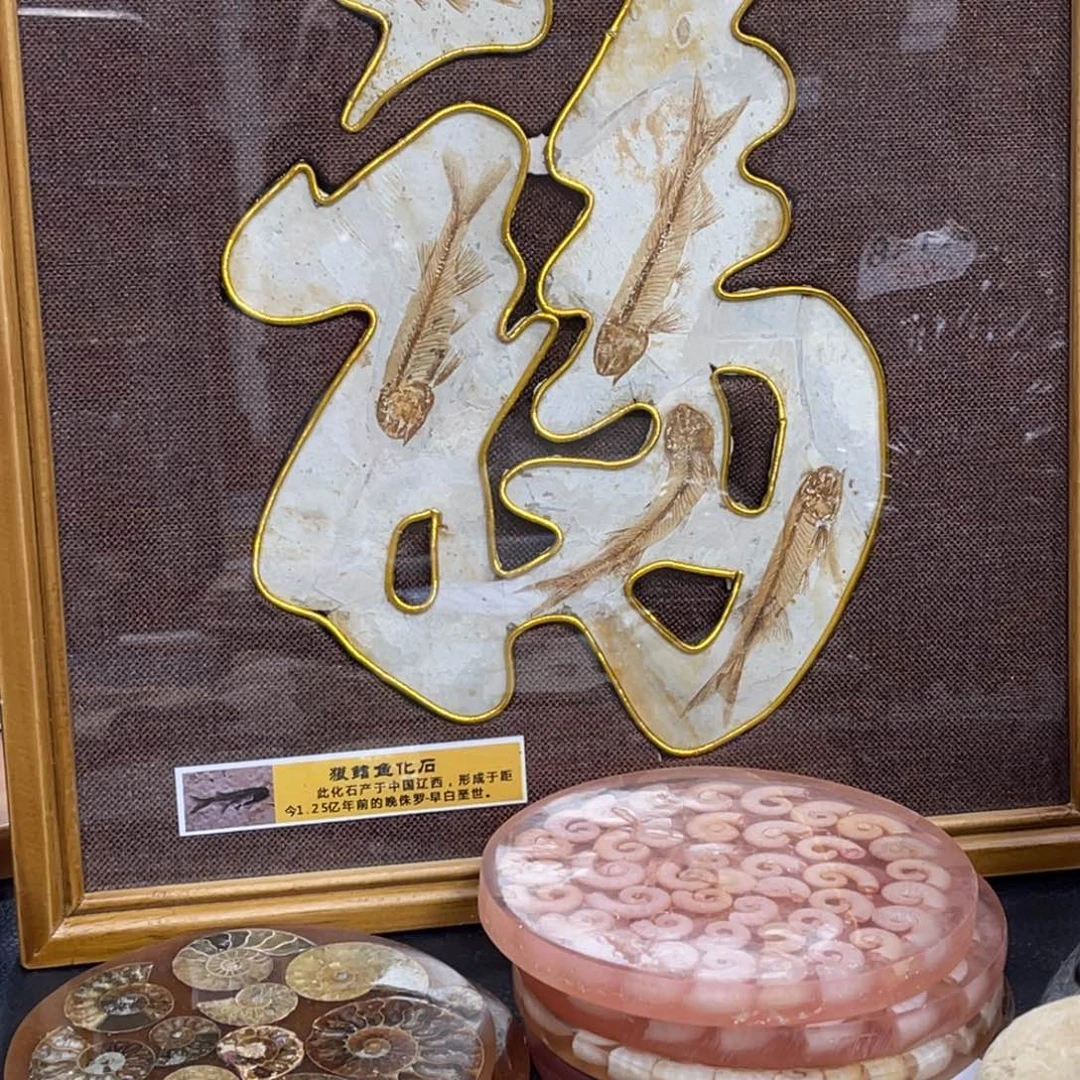 辽西古生物研究学会会长