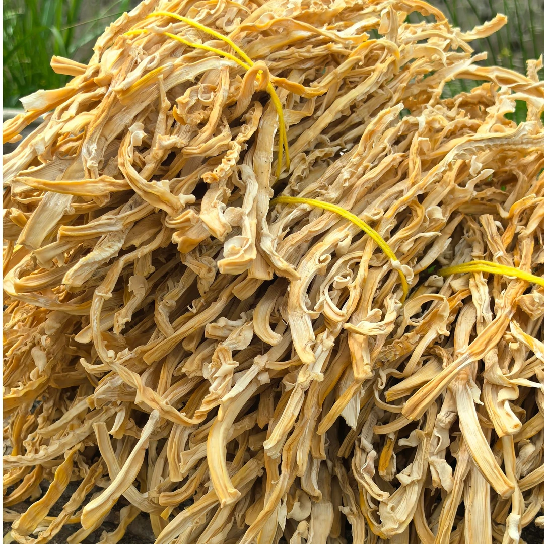 贵州大山野生春笋干