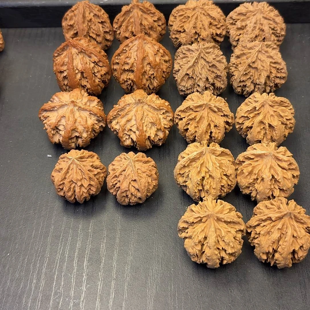 核桃突突突突的突突