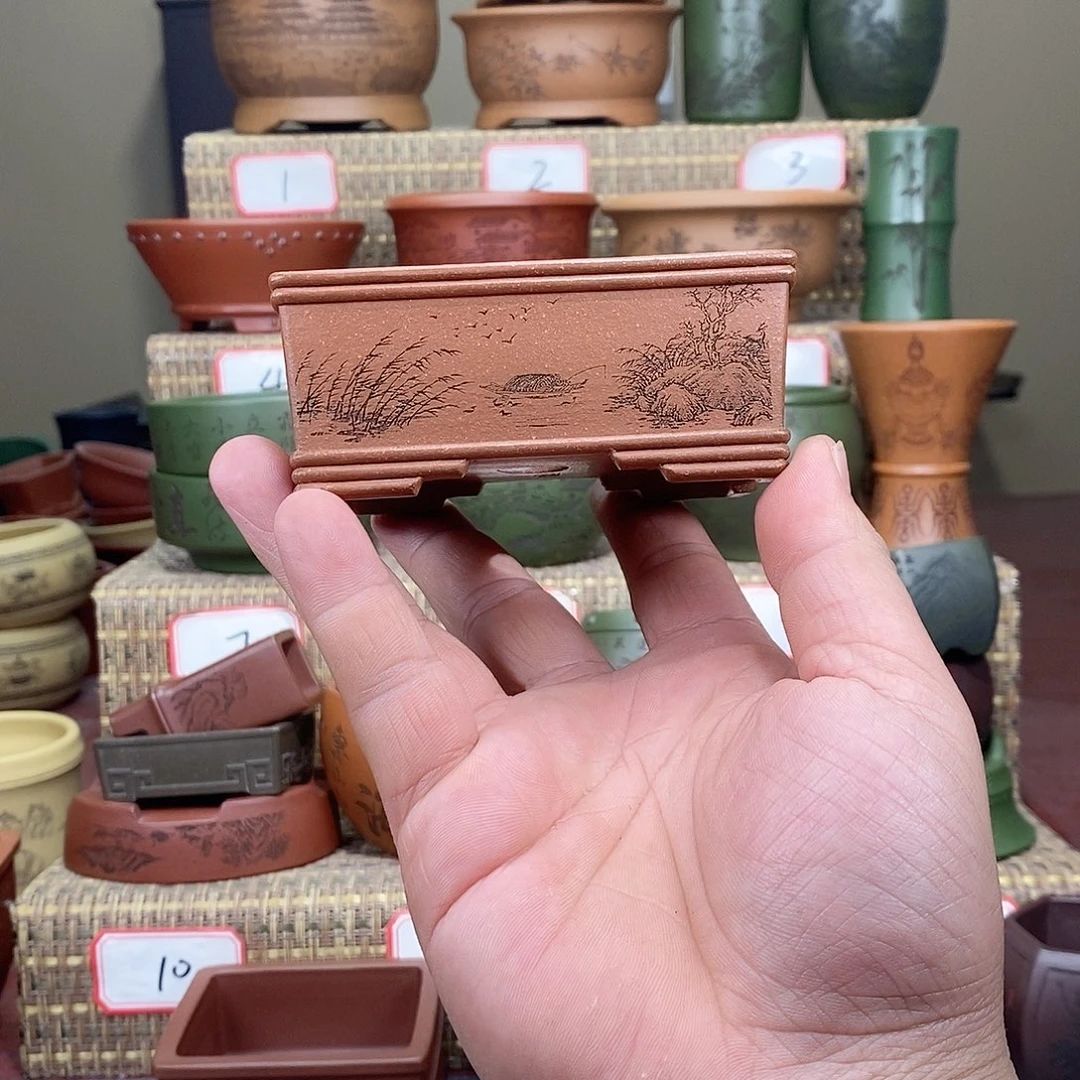 紫砂花盆我在等他