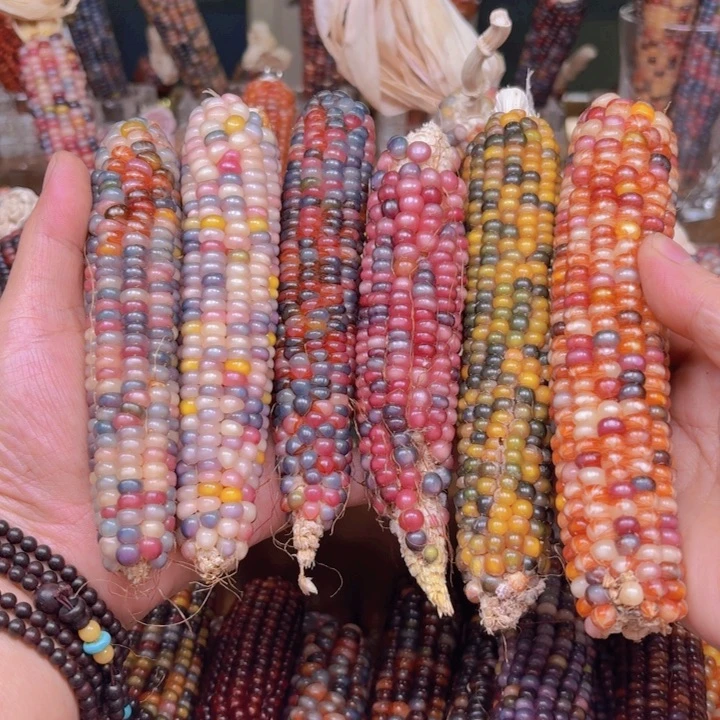 柏香籽/百香籽吊坠ʚ**星