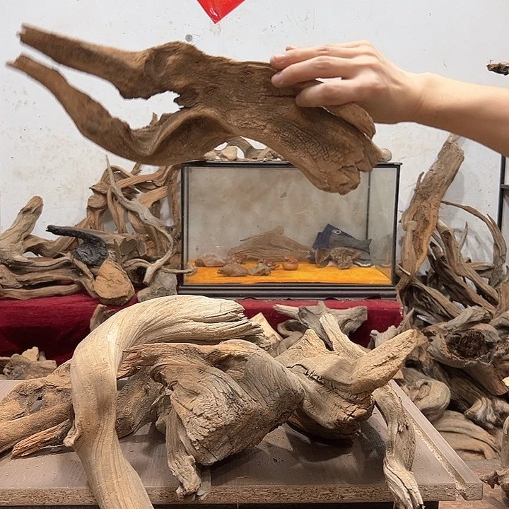 柏木四***༨我们的生活也