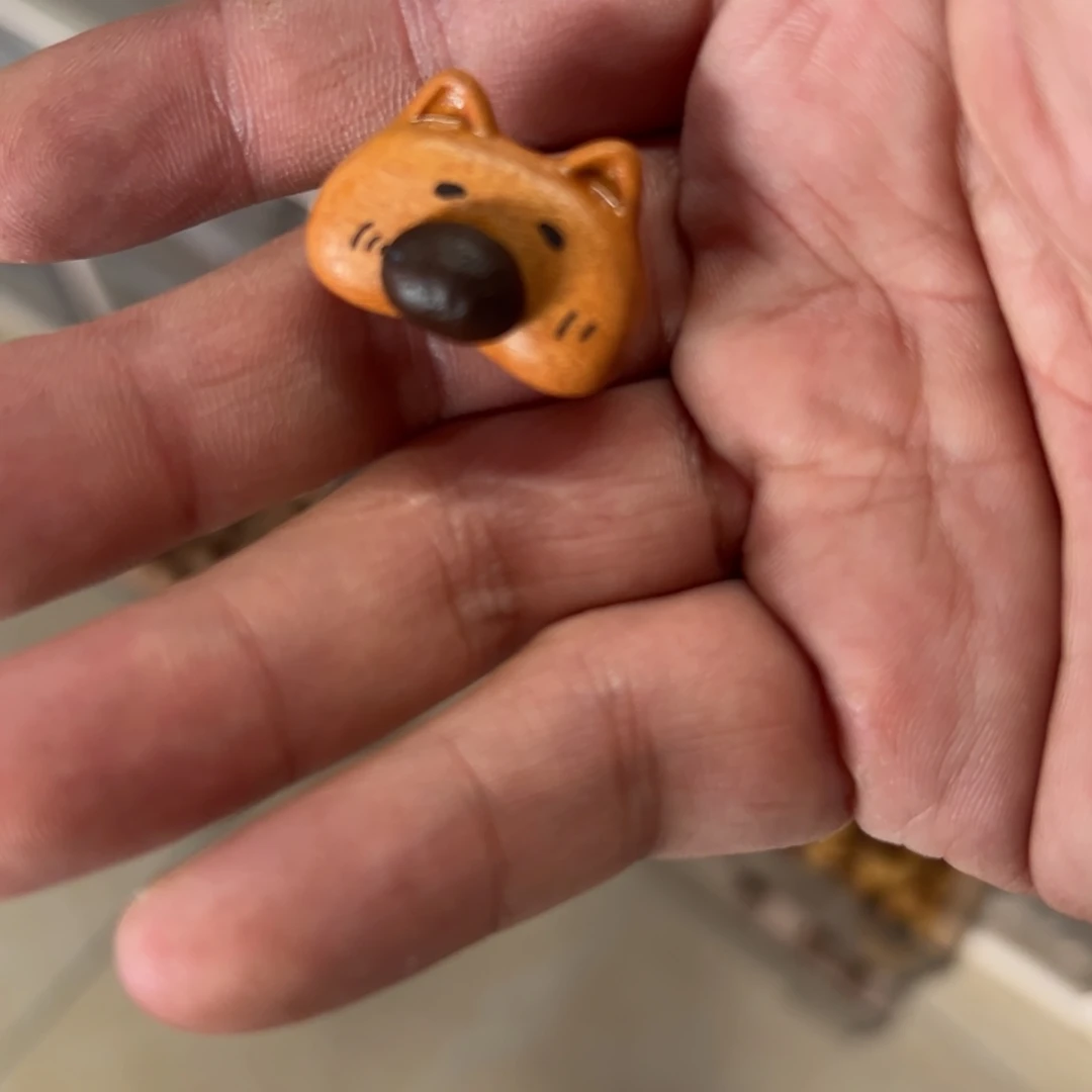 只买单纯的吊坠，没带链子，属的性质。