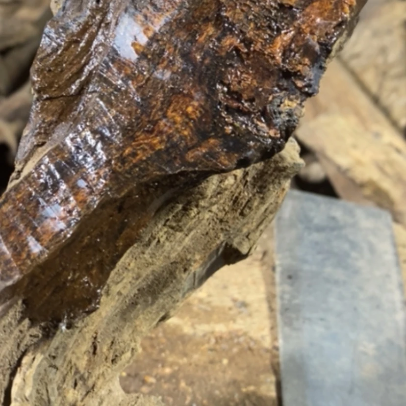 【闪购商品】贡木其他爱****洋私人订制