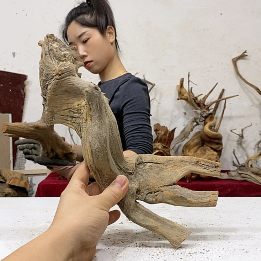 【闪购商品】柏木把**住我们都是好孩子