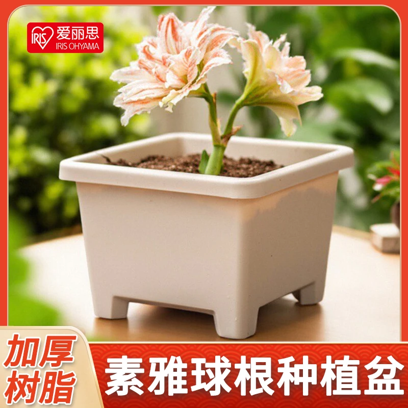 爱丽思球根花盆【3个】