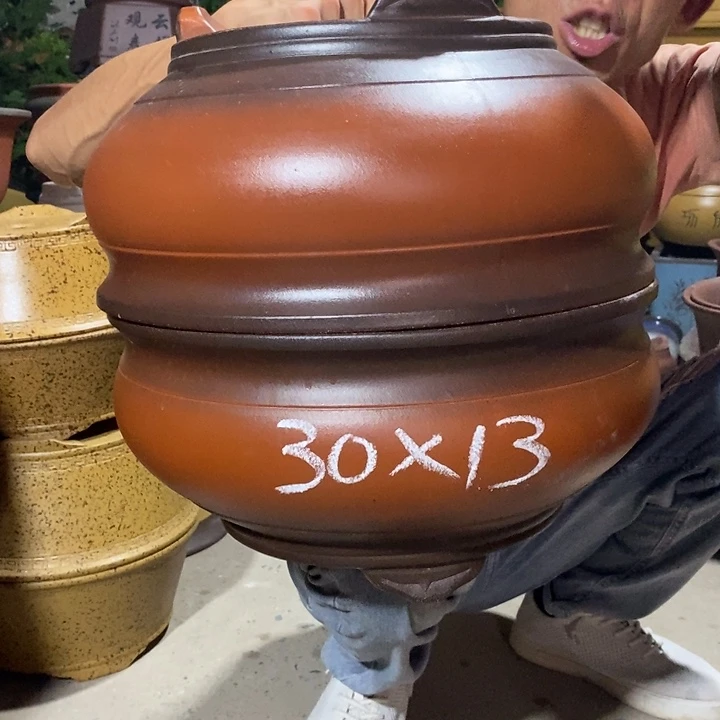 紫砂紫砂紫砂紫砂