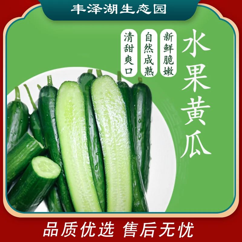新鲜采摘水果小黄瓜3/5斤装生吃农家即食现摘应季多汁爽口