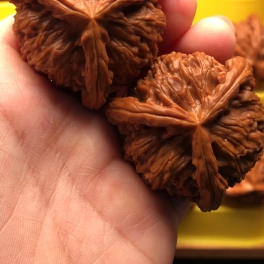 艾***得核桃核桃核桃核桃核桃