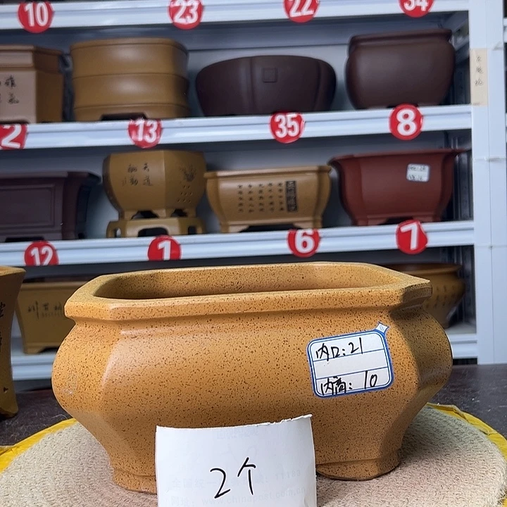 花盆紫砂蛇年大吉