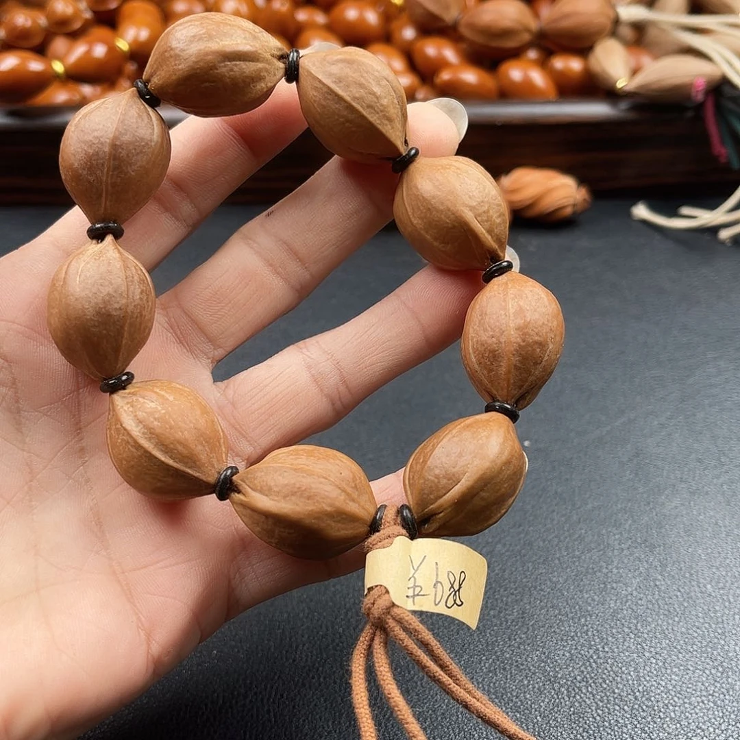 吊坠龙脊菩提橄榄树等植物