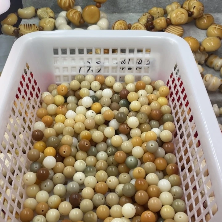 吊坠菩提根/象牙果微瑕菩提多宝园二百关注➕牌宠一百
