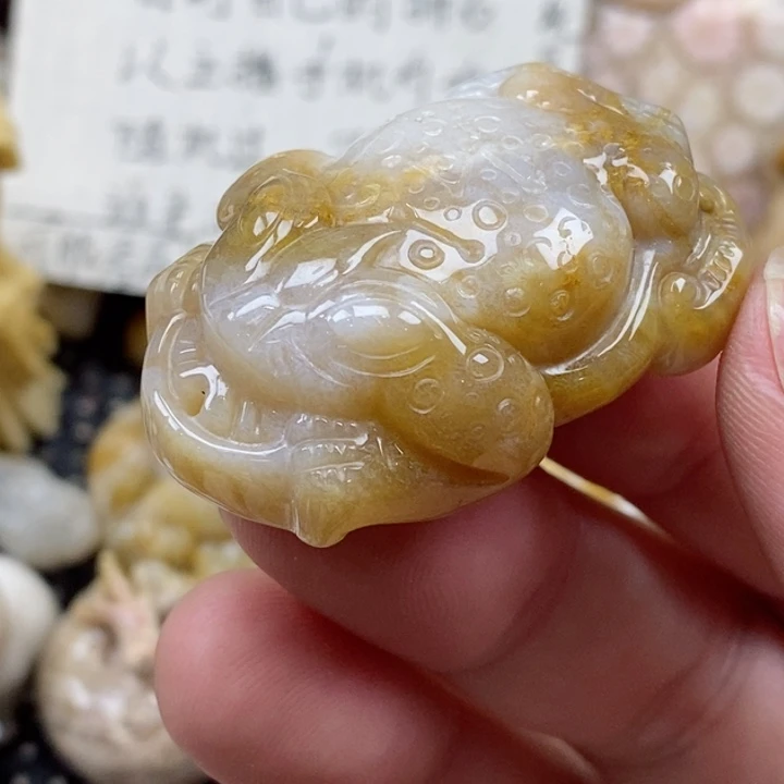 颈饰未镶嵌硅化珊瑚（珊瑚玉）