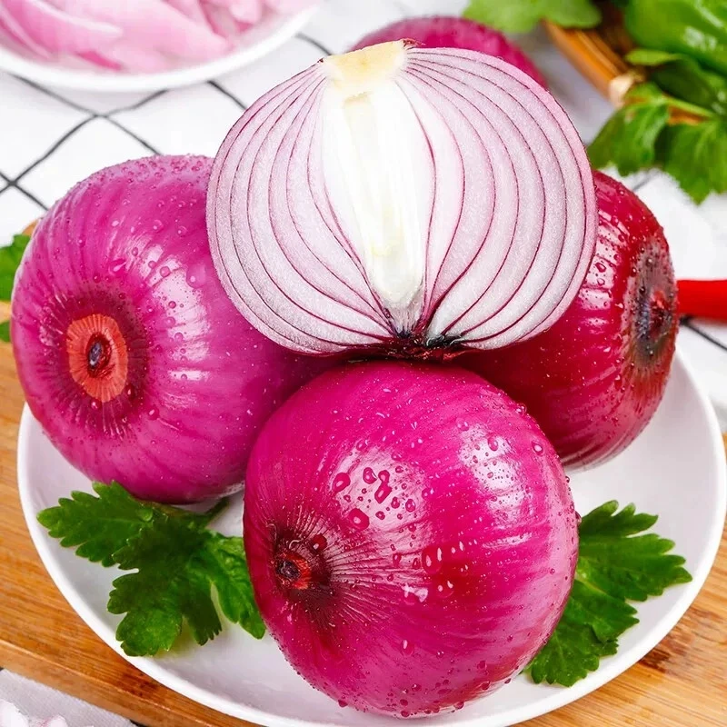 【现货8斤】云南新鲜紫皮洋葱农家自种新鲜洋葱新鲜蔬菜水果洋葱