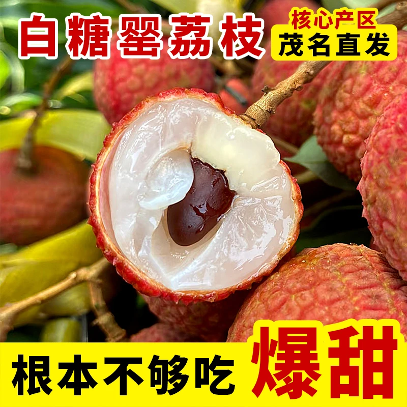 【大源总粉丝专属福利】茂名白糖罂荔枝新鲜现摘水果当季