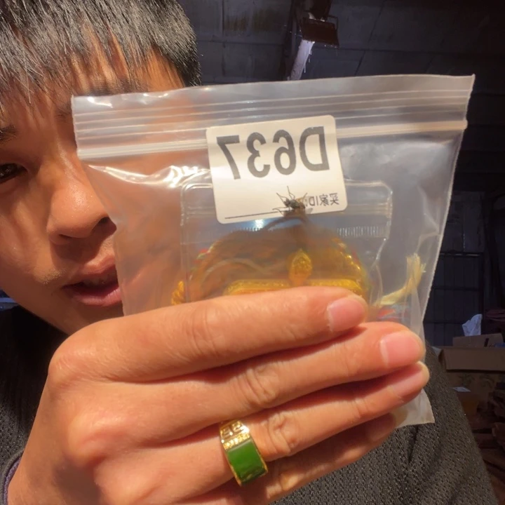 大理石磁石文玩637