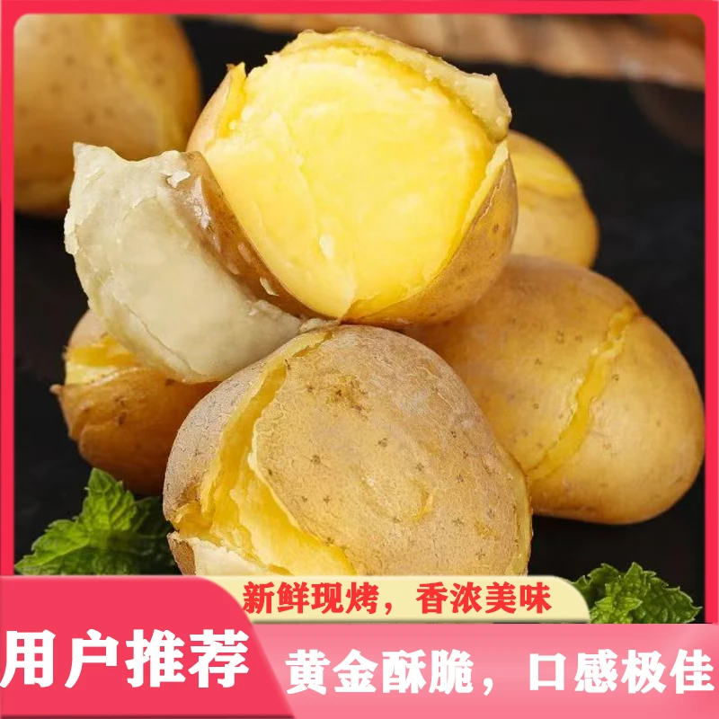 2025新鲜现挖高原土豆沙面黄心新鲜蔬菜炖肉炒菜开花好吃开花土豆