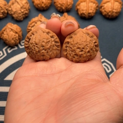 橄榄核手串/手链龙公子31全品