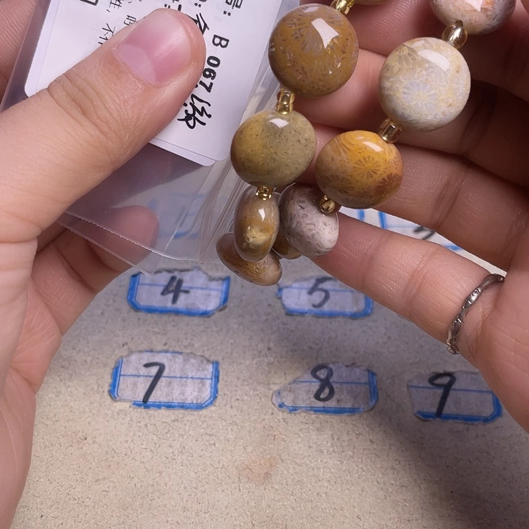 鱼***游硅化玉未镶嵌手镯