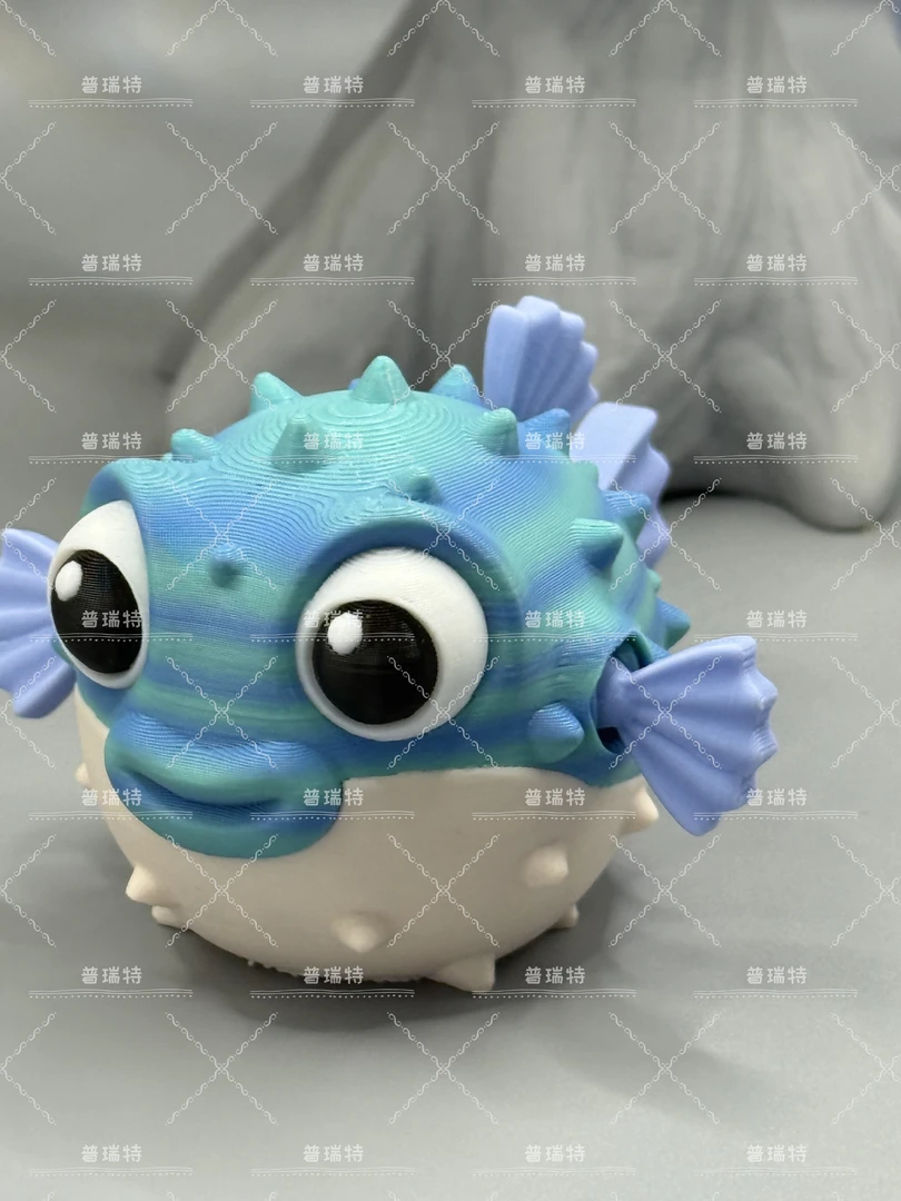 小河豚-可爱的河豚