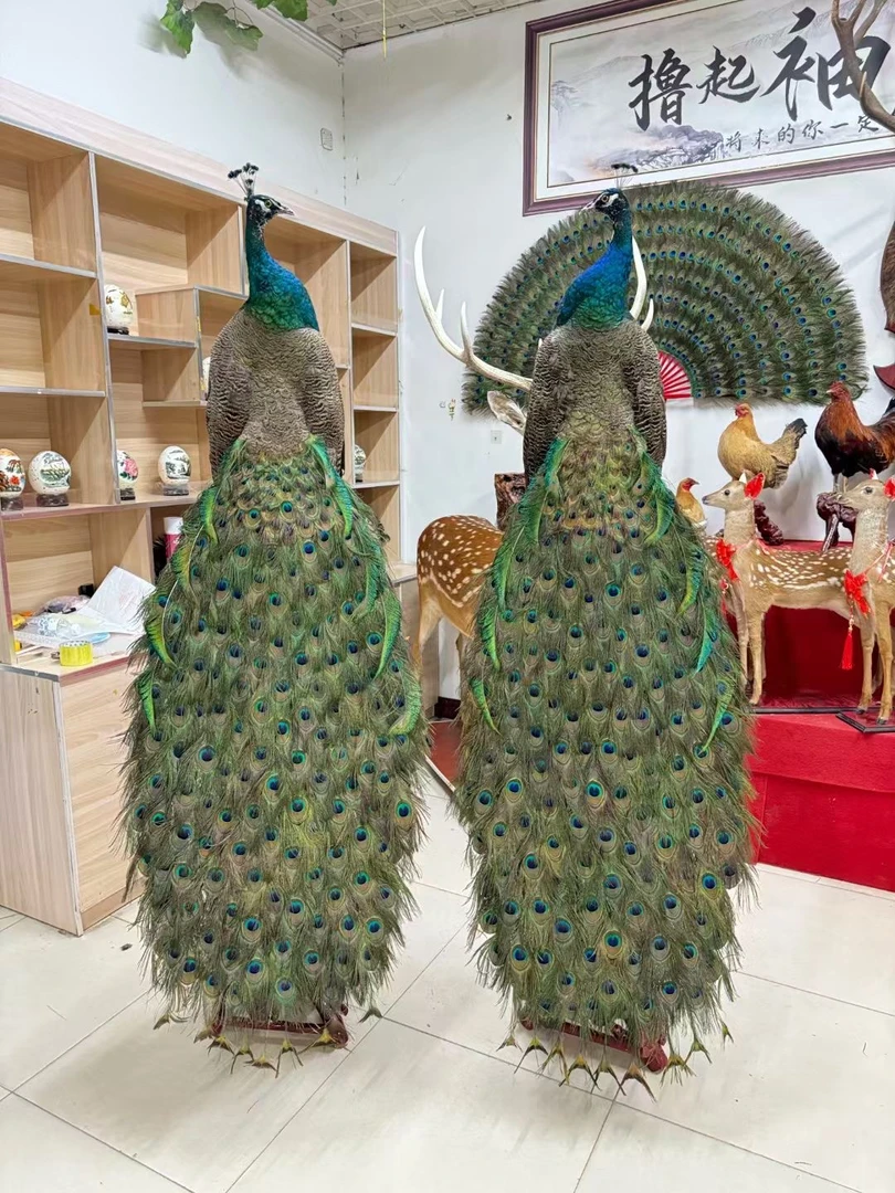 两件蓝色羽毛摆件装饰品，观赏摆件手工