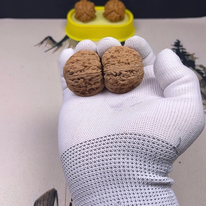 核桃核桃等经济作物的栽培技术