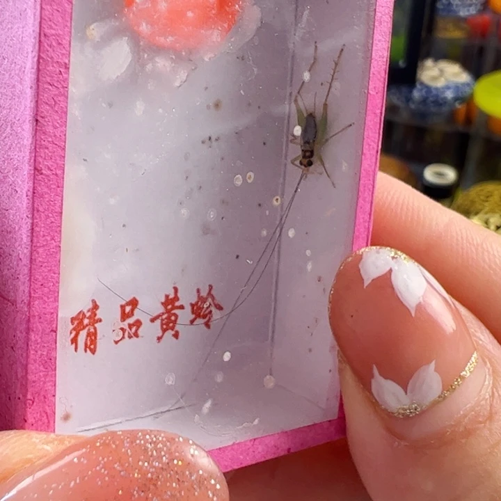 哈哈哈两个翡翠铃四个麒麟