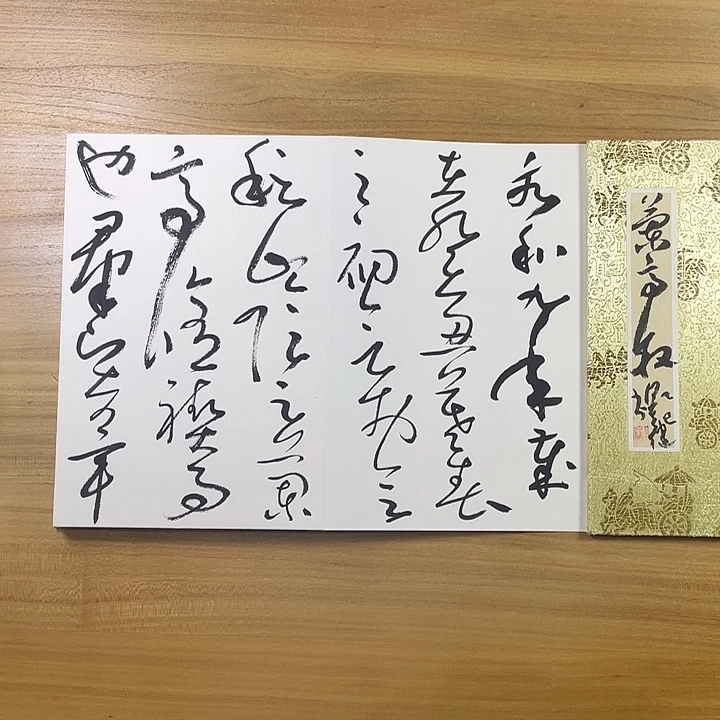 书法中书协会员作品