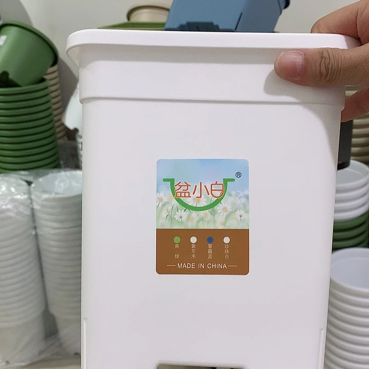 方口20白5个无托