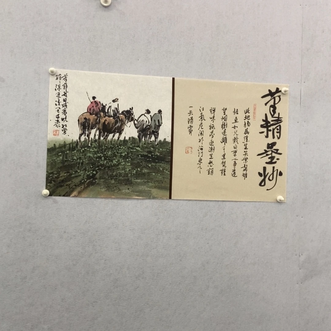 用***6国画墨鱼精品墨鱼精品