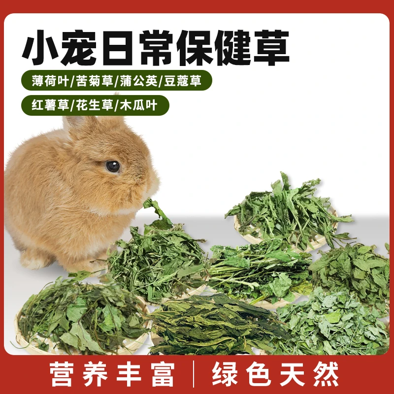 兔兔保健草薄荷叶菊苣草蒲公英清香试吃绿色龙猫补充营养家中常备