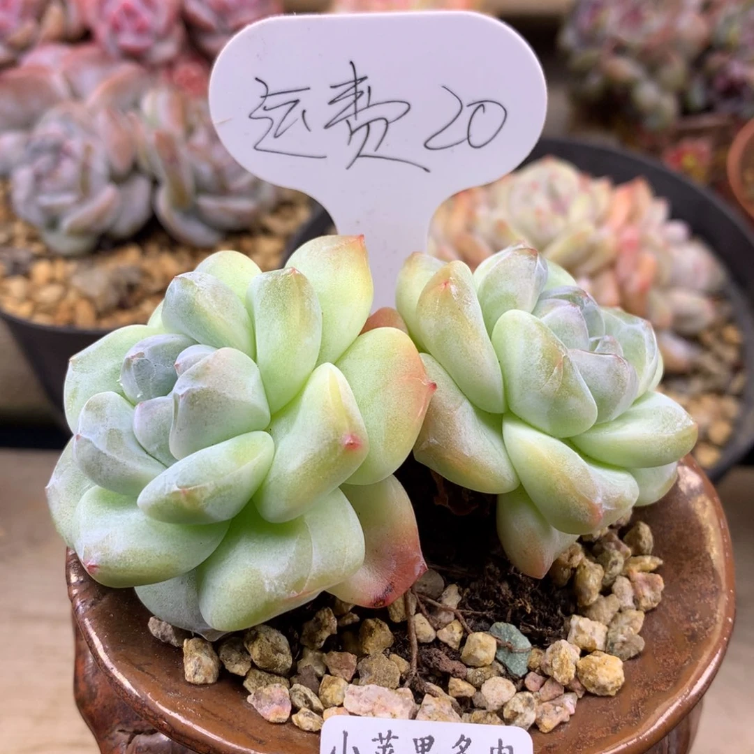 运费/哈哈哈哈哈哈哈