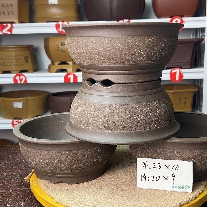 花盆紫砂你在一起